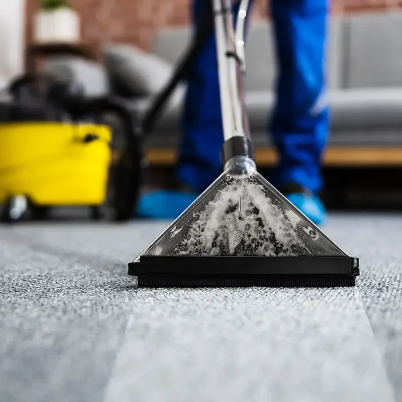 Professional Carpet &Amp; Upholstery Cleaning 3 Professional carpet cleaning in sutton coldfield
