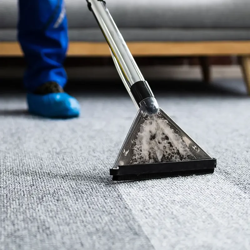 Professional Carpet &Amp; Upholstery Cleaning 1 Professional carpet cleaning in sutton coldfield