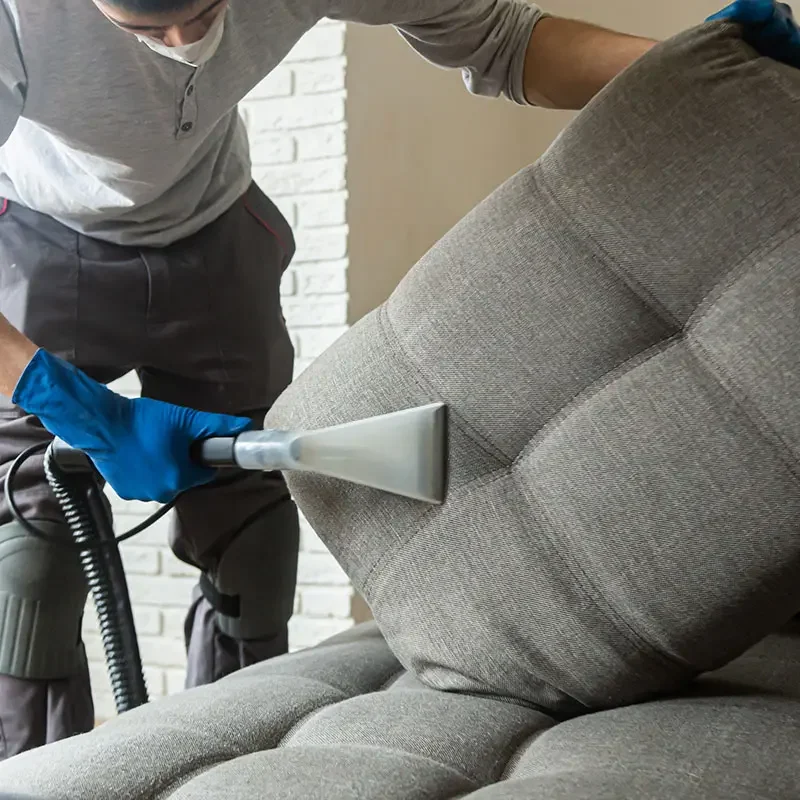 Professional Carpet &Amp; Upholstery Cleaning 4 Carpet & upholstery cleaning sutton coldfield